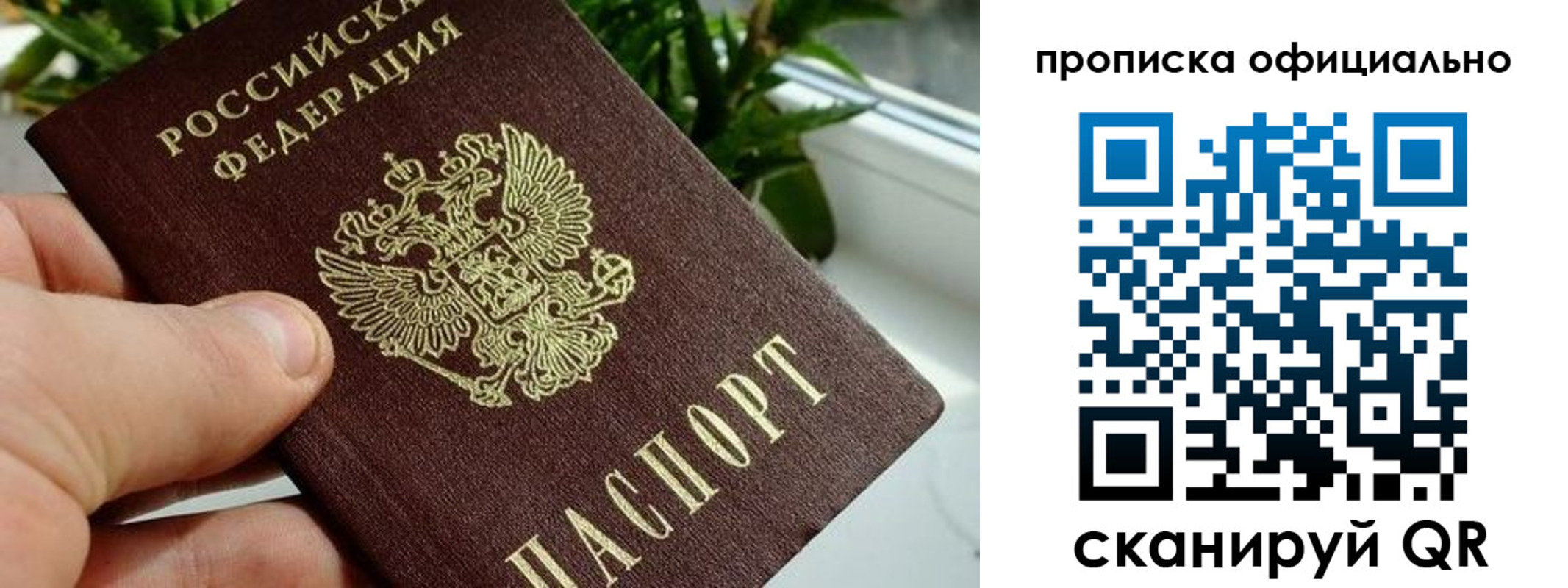 прописка поиск в Котово